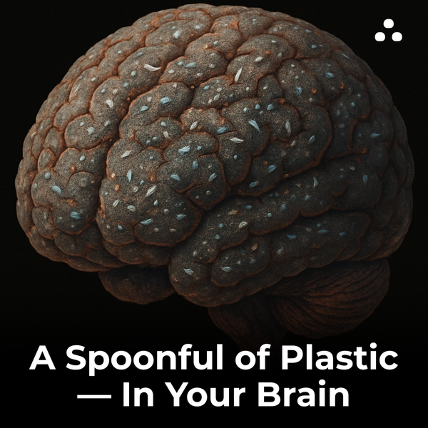 Which material was found in human brain tissue in large amounts?