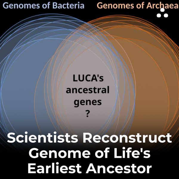What did scientists accomplish regarding LUCA in 2024?