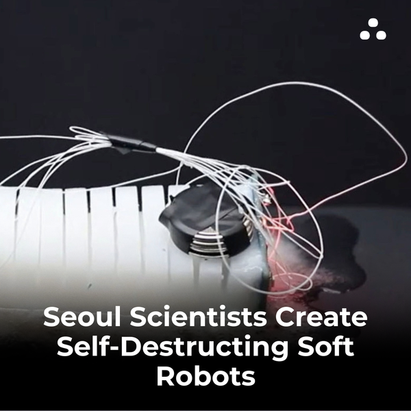 What special ability do the soft robots developed by Seoul National University in 2024 have?